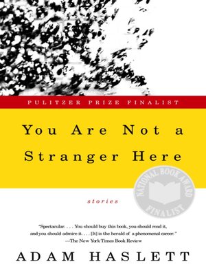 cover image of You Are Not a Stranger Here